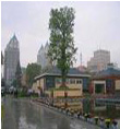 实现人水和谐_构建环境友好——以南通市城市水环境治理规划为例